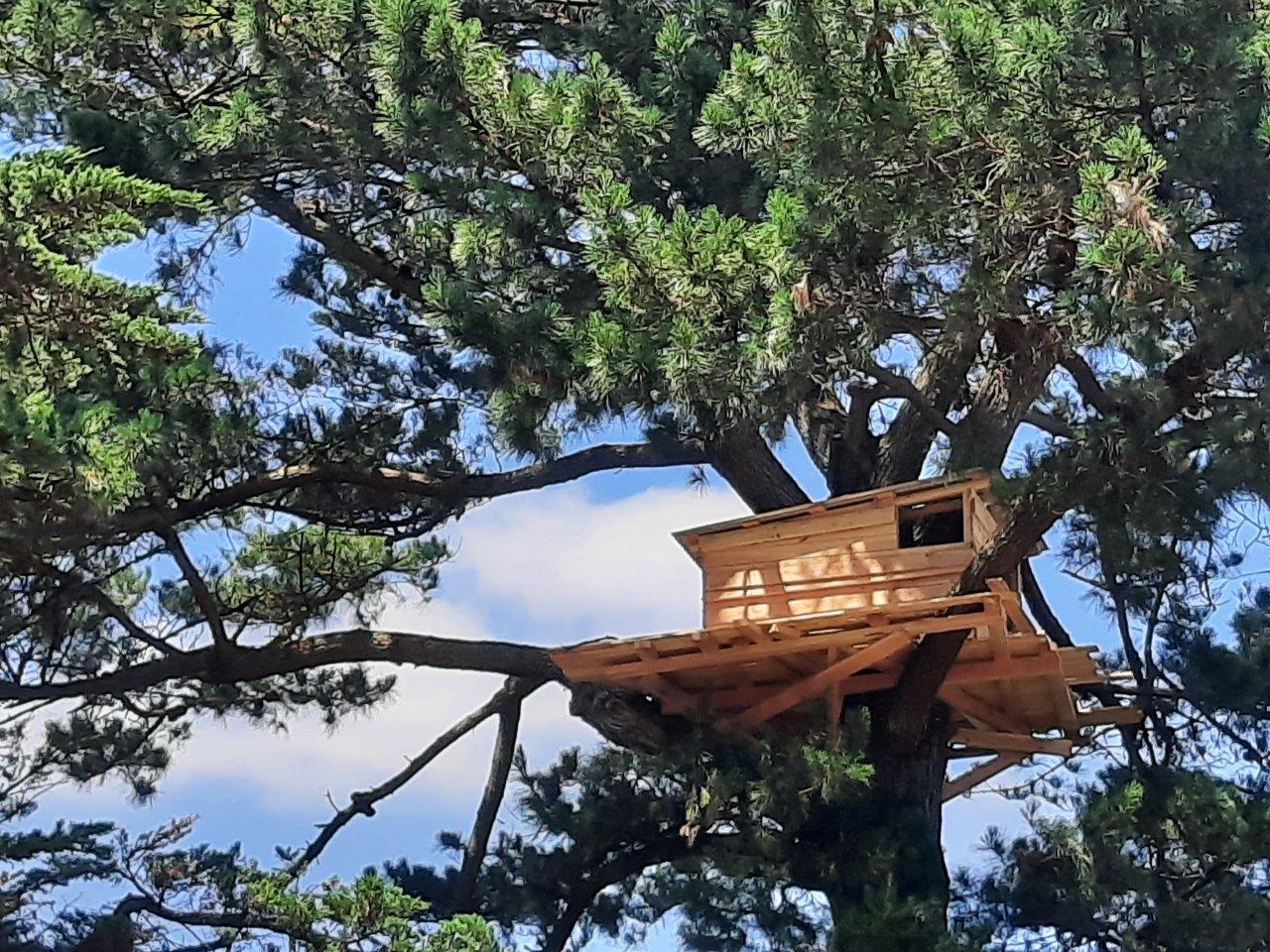 Cabane en bois dans un arbre