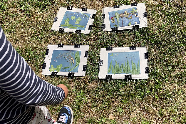 quatre maquettes avec des feuilles de plantes en train de sécher au soleil sur l'herbe