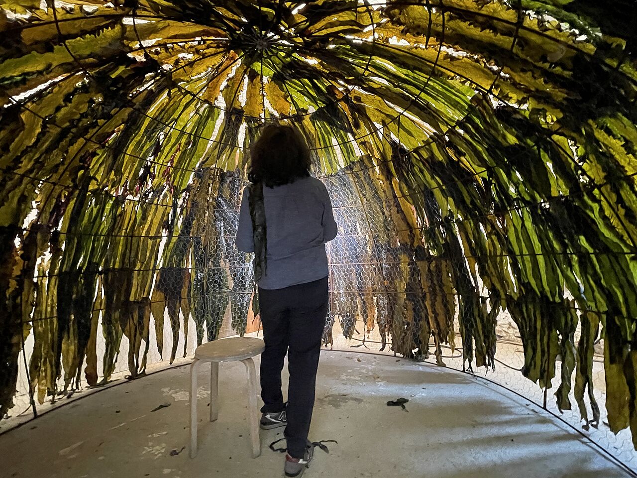 photo de l'artiste dans l'igloo composé d'algues